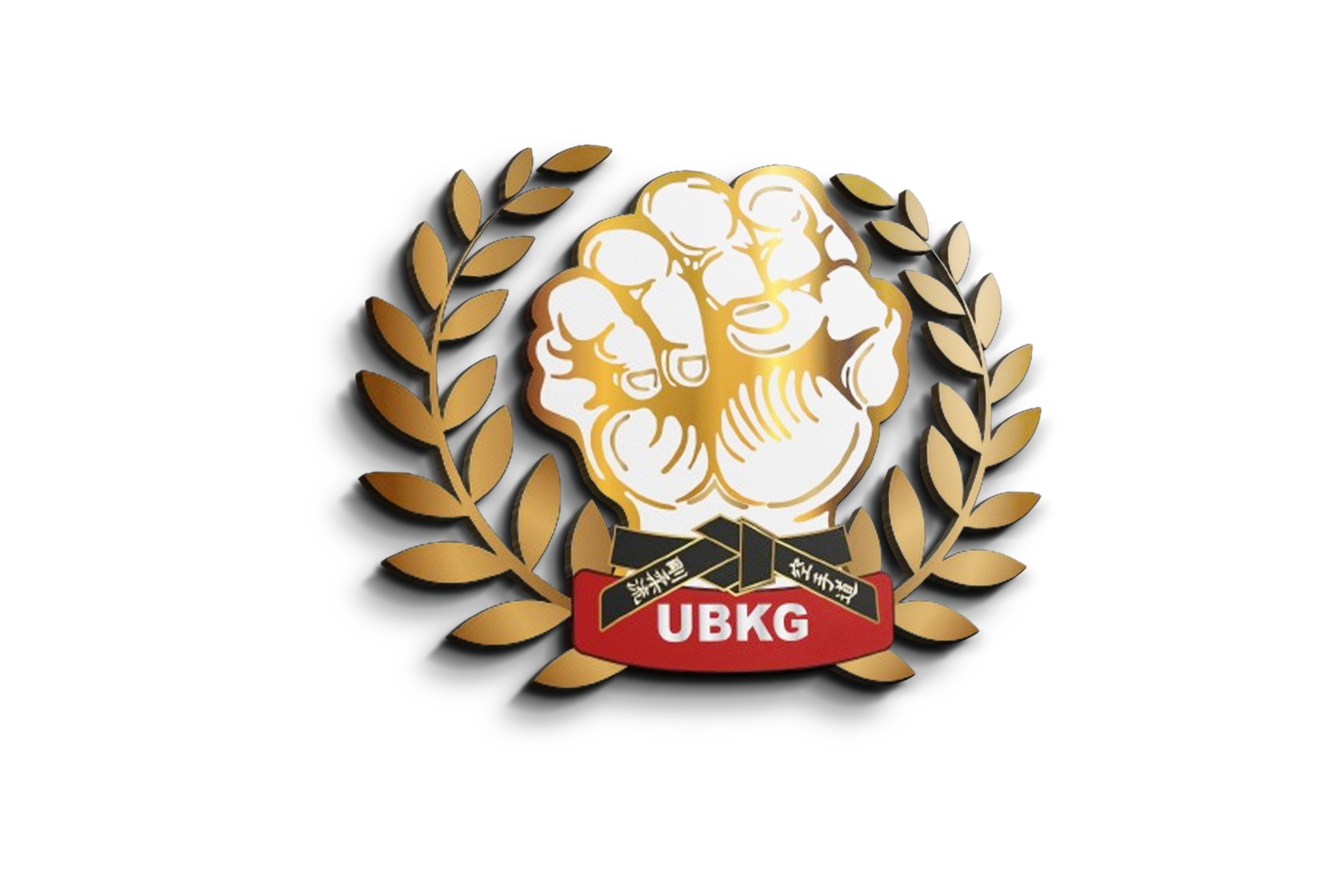 UNIÃO BRASILEIRA DE KARATE GOJU RYU